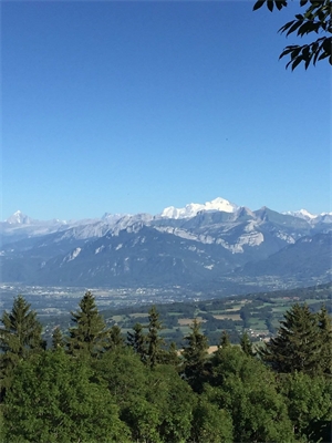 appartement en frais reduits à la vente -   74360  ABONDANCE, surface 55 m2 vente appartement en frais reduits - LPI3107140